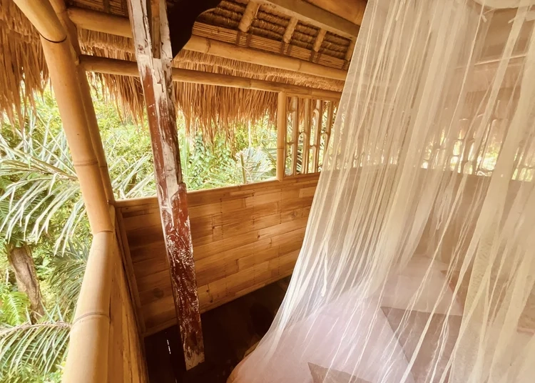 Yoga Teacher Training in Bali