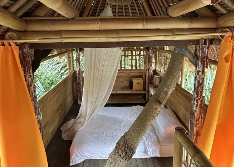 Yoga Teacher Training in Bali