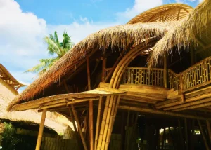 Yoga Teacher Training in Bali