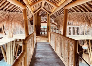 Yoga Teacher Training in Bali