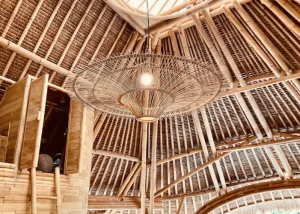 Yoga Teacher Training in Bali