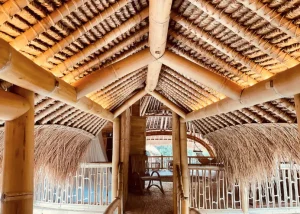 Yoga Teacher Training in Bali