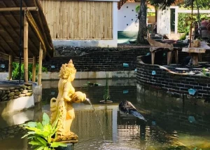 Yoga Teacher Training in Bali