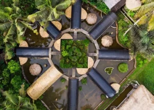 Yoga Teacher Training in Bali