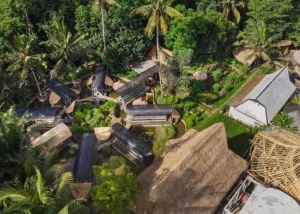 Yoga Teacher Training in Bali