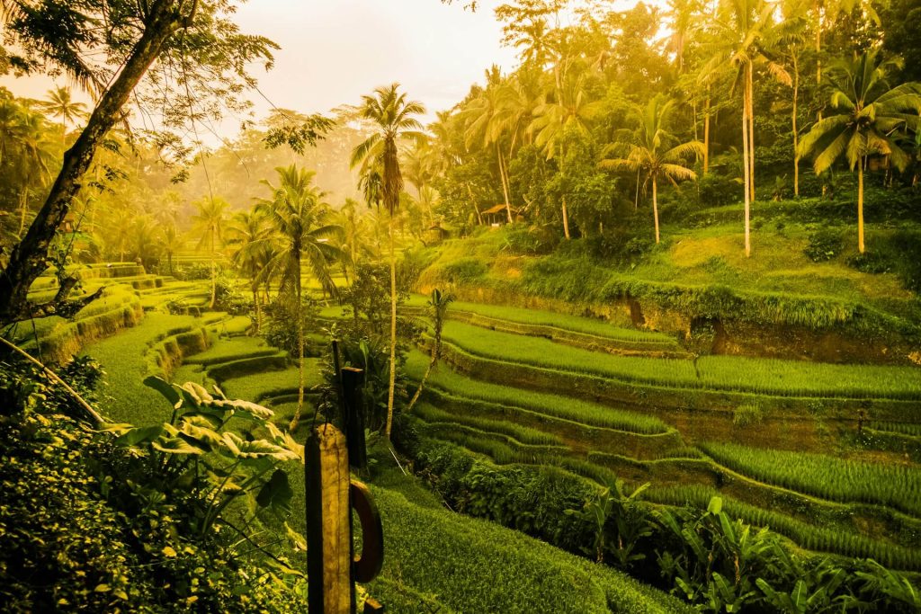 ytt in bali
